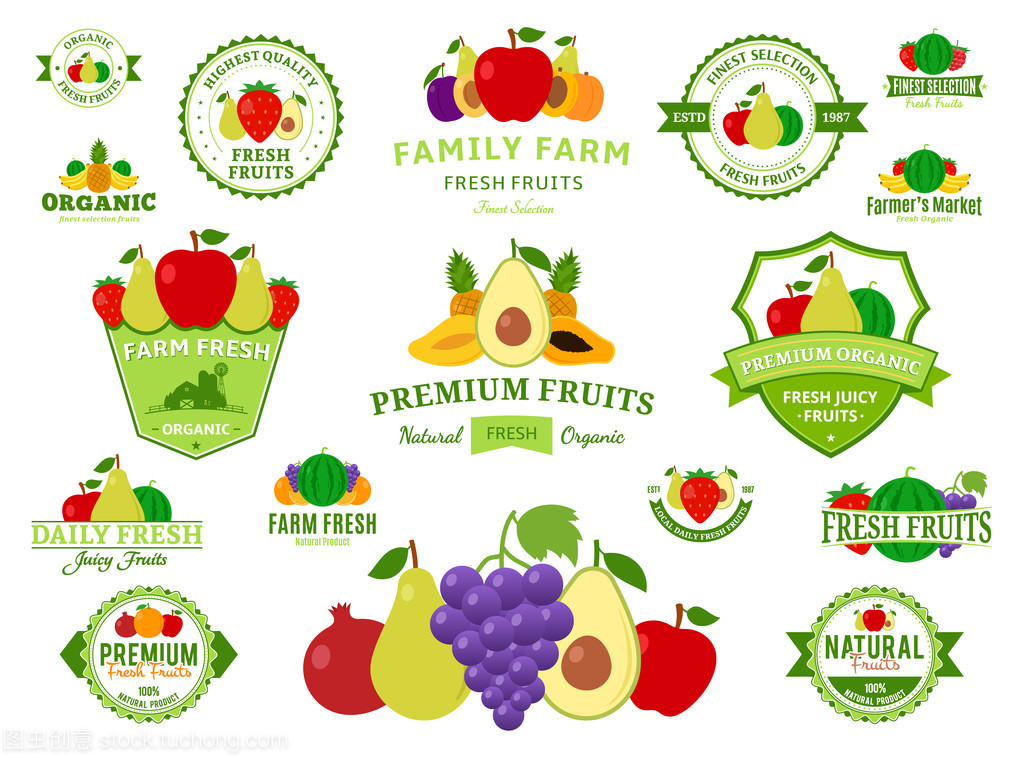 水果的标志、 标签、 水果图标和设计元素